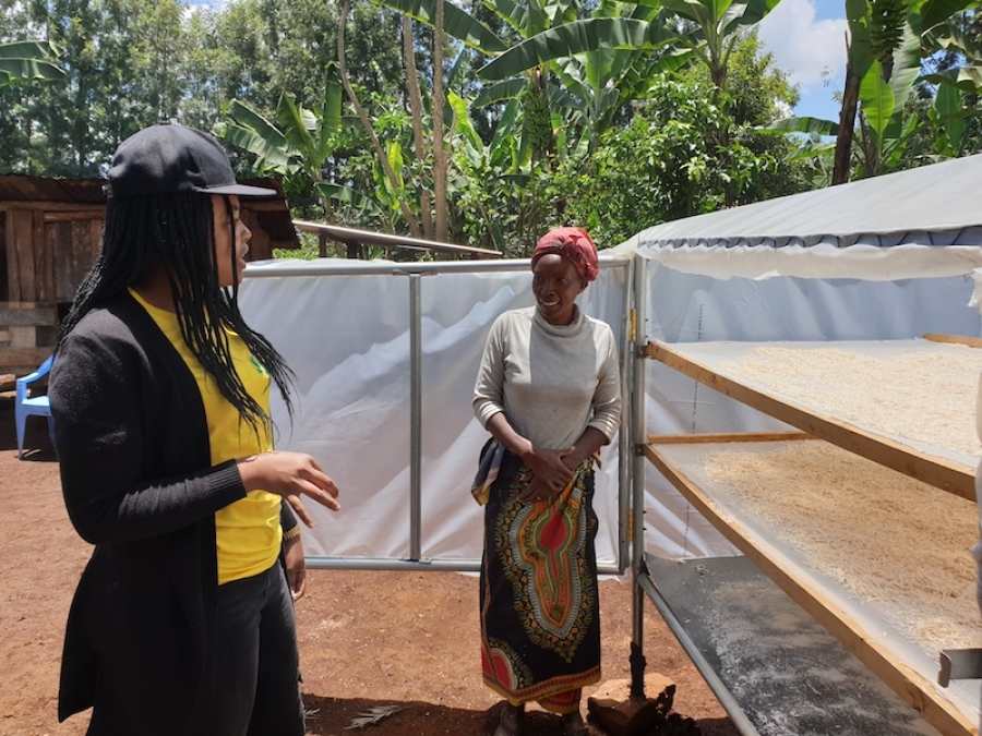 metallic solar driers at Kirigo, Mwea